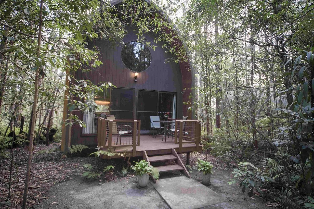 Springbrook Mountain Chalets Springwood Lodge