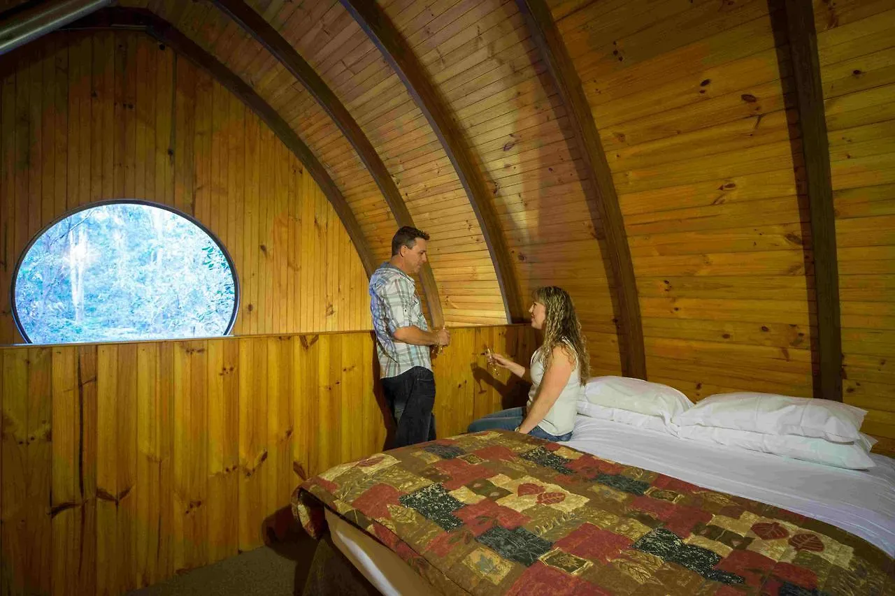 Springbrook Mountain Chalets Springwood